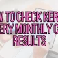 How to check Kerala Lottery Monthly Chart Results fi